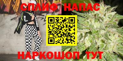 крисы Жуковский
