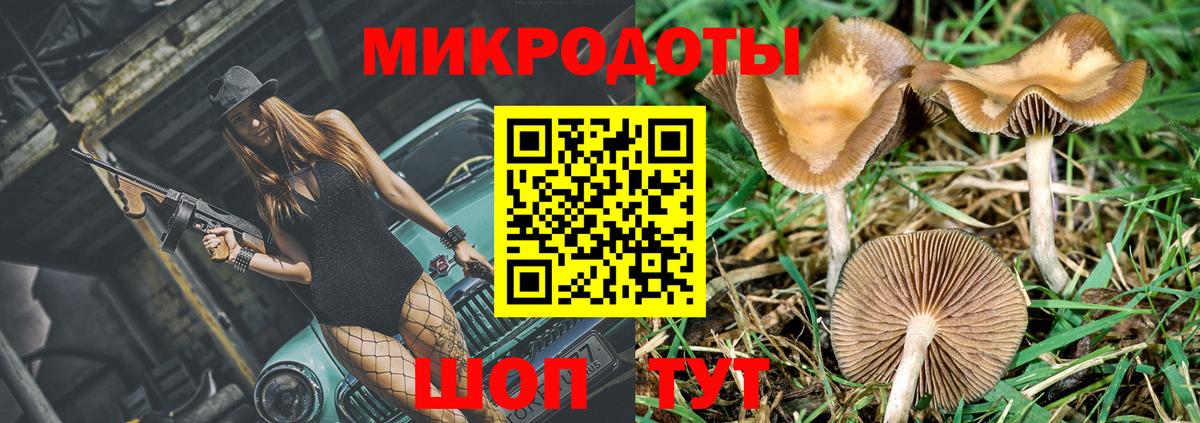 Псилоцибиновые грибы GOLDEN TEACHER Миасс