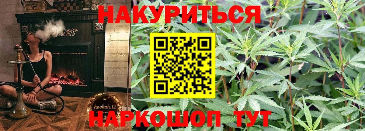 Миасс  МАРИХУАНА OG Kush  Марихуана Bruce Banner  Каннабис план  Вход с VPN 